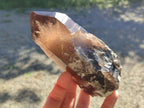 Half Polished Smokey Quartz Floater Crystals x 2 From Mulanje, Malawi - Toprock Gemstones and Minerals 