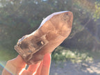 Half Polished Smokey Quartz Floater Crystals x 2 From Mulanje, Malawi - Toprock Gemstones and Minerals 