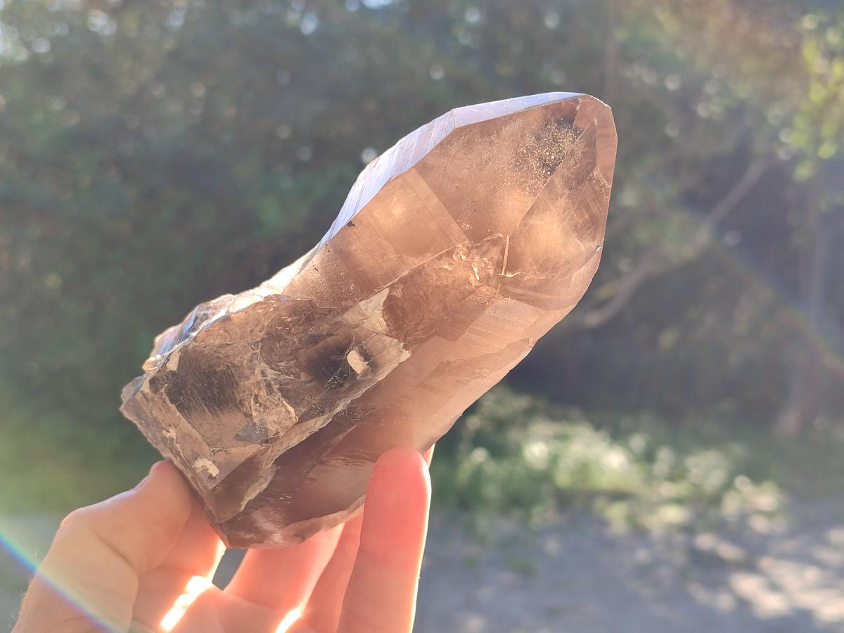 Half Polished Smokey Quartz Floater Crystals x 2 From Mulanje, Malawi - Toprock Gemstones and Minerals 