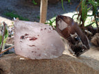Half Polished Smokey Quartz Floater Crystals x 2 From Mulanje, Malawi - Toprock Gemstones and Minerals 