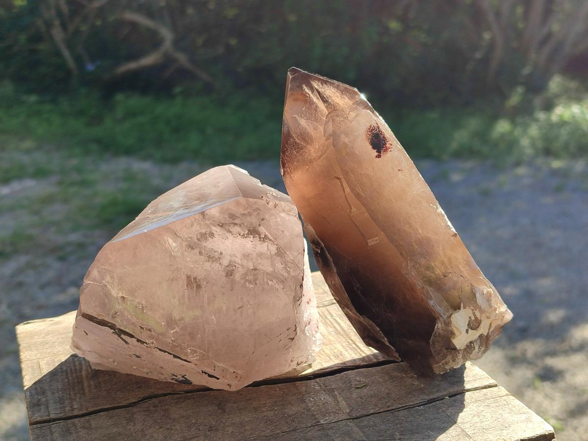 Half Polished Smokey Quartz Floater Crystals x 2 From Mulanje, Malawi - Toprock Gemstones and Minerals 