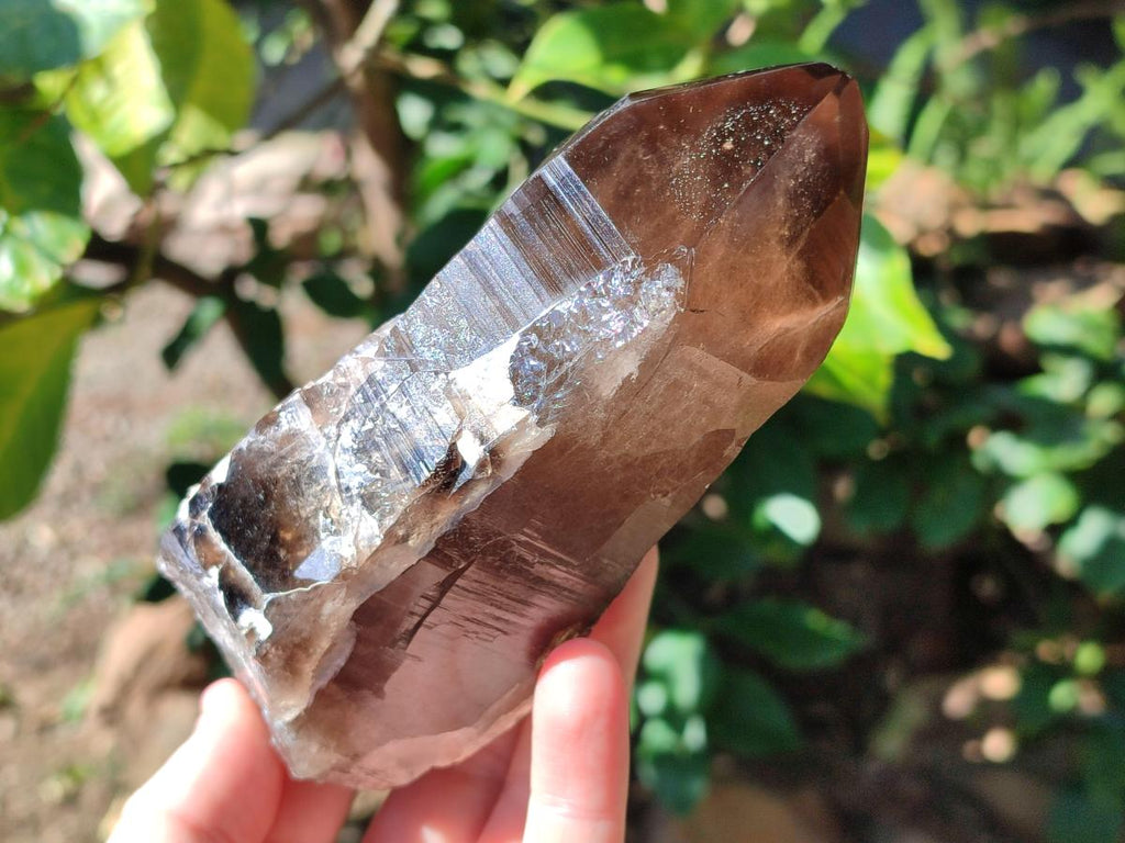 Half Polished Smokey Quartz Floater Crystals x 2 From Mulanje, Malawi - Toprock Gemstones and Minerals 