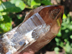 Half Polished Smokey Quartz Floater Crystals x 2 From Mulanje, Malawi - Toprock Gemstones and Minerals 