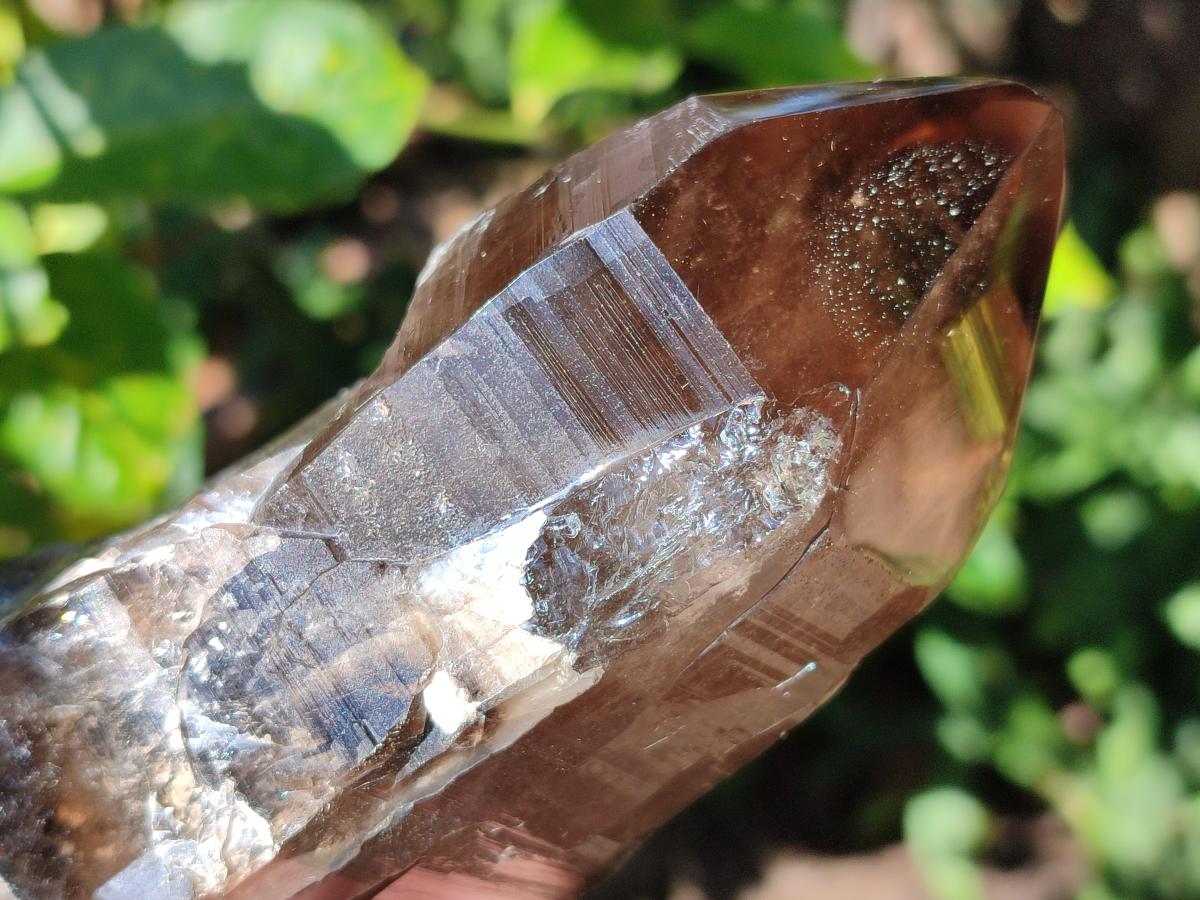 Half Polished Smokey Quartz Floater Crystals x 2 From Mulanje, Malawi - Toprock Gemstones and Minerals 