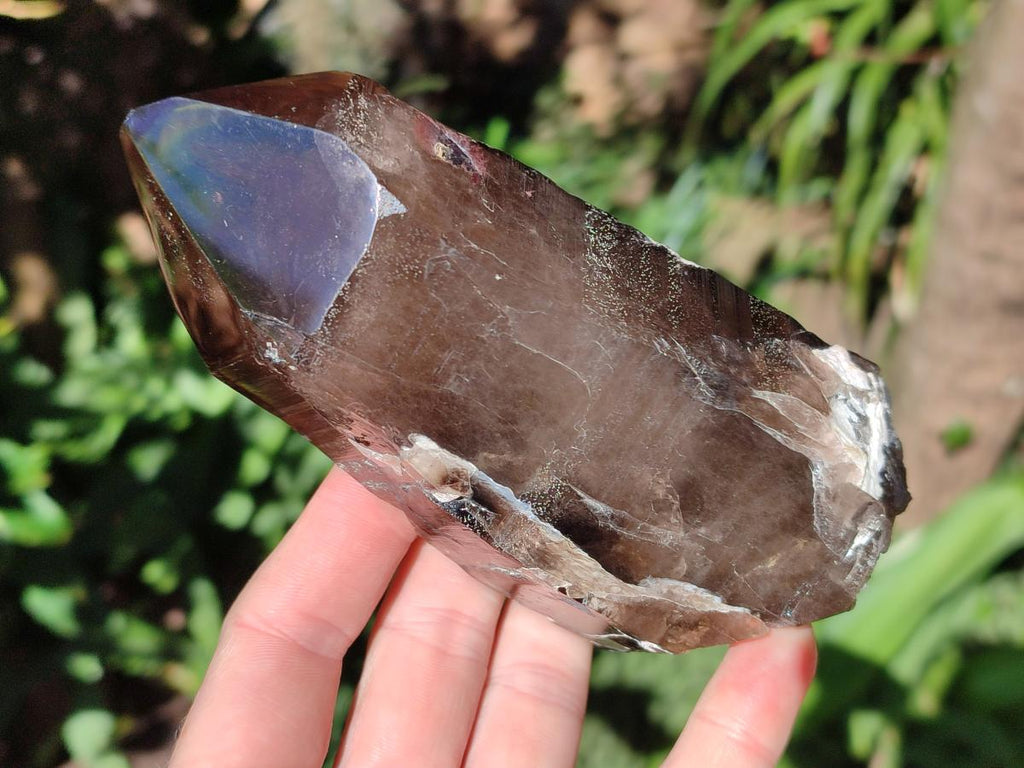 Half Polished Smokey Quartz Floater Crystals x 2 From Mulanje, Malawi - Toprock Gemstones and Minerals 