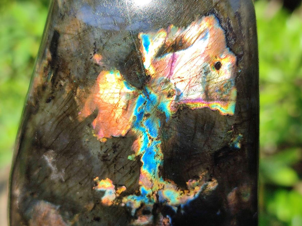 Polished Labradorite Standing Display Pieces x 2 From Madagascar - Toprock Gemstones and Minerals 