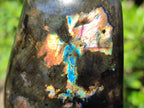 Polished Labradorite Standing Display Pieces x 2 From Madagascar - Toprock Gemstones and Minerals 