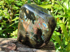 Polished Labradorite Standing Display Pieces x 2 From Madagascar - Toprock Gemstones and Minerals 