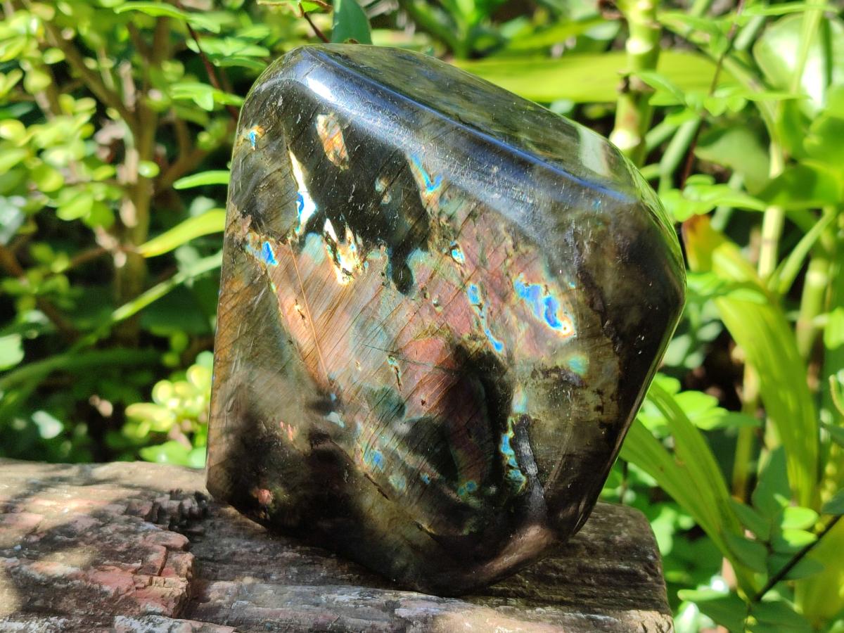 Polished Labradorite Standing Display Pieces x 2 From Madagascar - Toprock Gemstones and Minerals 
