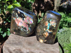 Polished Labradorite Standing Display Pieces x 2 From Madagascar - Toprock Gemstones and Minerals 