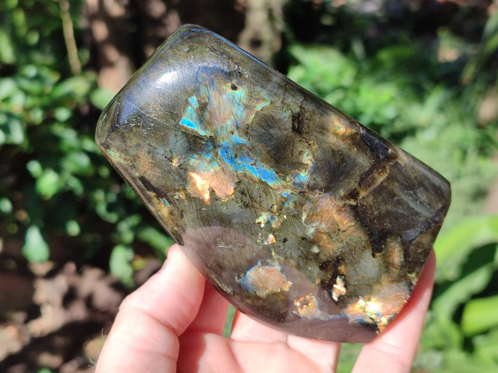 Polished Labradorite Standing Display Pieces x 2 From Madagascar - Toprock Gemstones and Minerals 