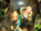 Polished Labradorite Standing Display Pieces x 2 From Madagascar - Toprock Gemstones and Minerals 
