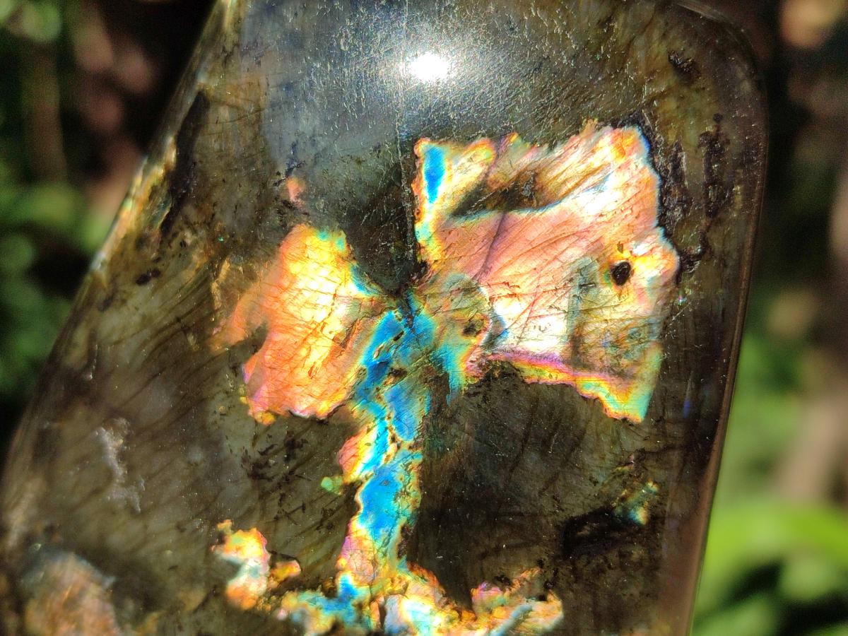 Polished Labradorite Standing Display Pieces x 2 From Madagascar - Toprock Gemstones and Minerals 