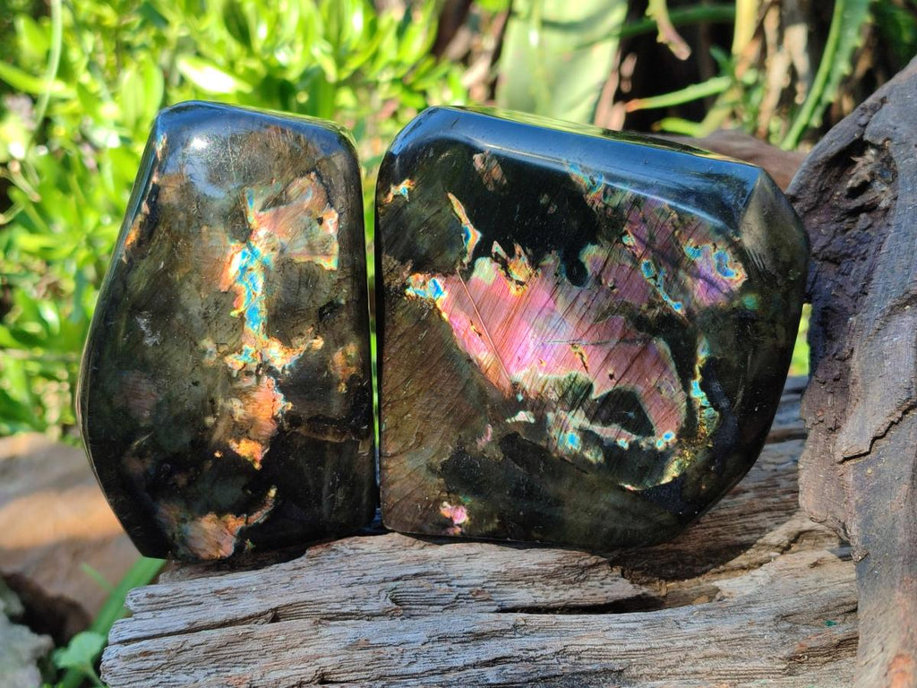Polished Labradorite Standing Display Pieces x 2 From Madagascar - Toprock Gemstones and Minerals 