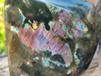 Polished Labradorite Standing Display Pieces x 2 From Madagascar - Toprock Gemstones and Minerals 
