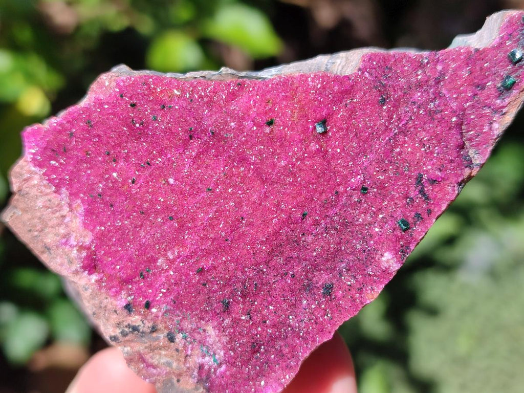 Natural Salrose Cobaltoan Dolomite Specimens x 4 From Kakanda, Congo - Toprock Gemstones and Minerals 