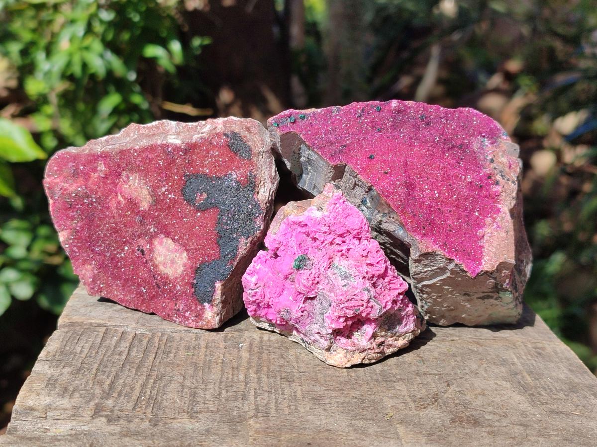 Natural Salrose Cobaltoan Dolomite Specimens x 4 From Kakanda, Congo - Toprock Gemstones and Minerals 