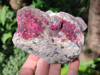 Natural Salrose Cobaltoan Dolomite Specimens x 4 From Kakanda, Congo - Toprock Gemstones and Minerals 