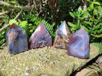 Polished Strawberry Agate Display Crystal Points x 4 From Mozambique - Toprock Gemstones and Minerals 