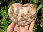 Polished Red Podocarpus Petrified Wood Hearts x 3 From Mahajanga, Madagascar - Toprock Gemstones and Minerals 