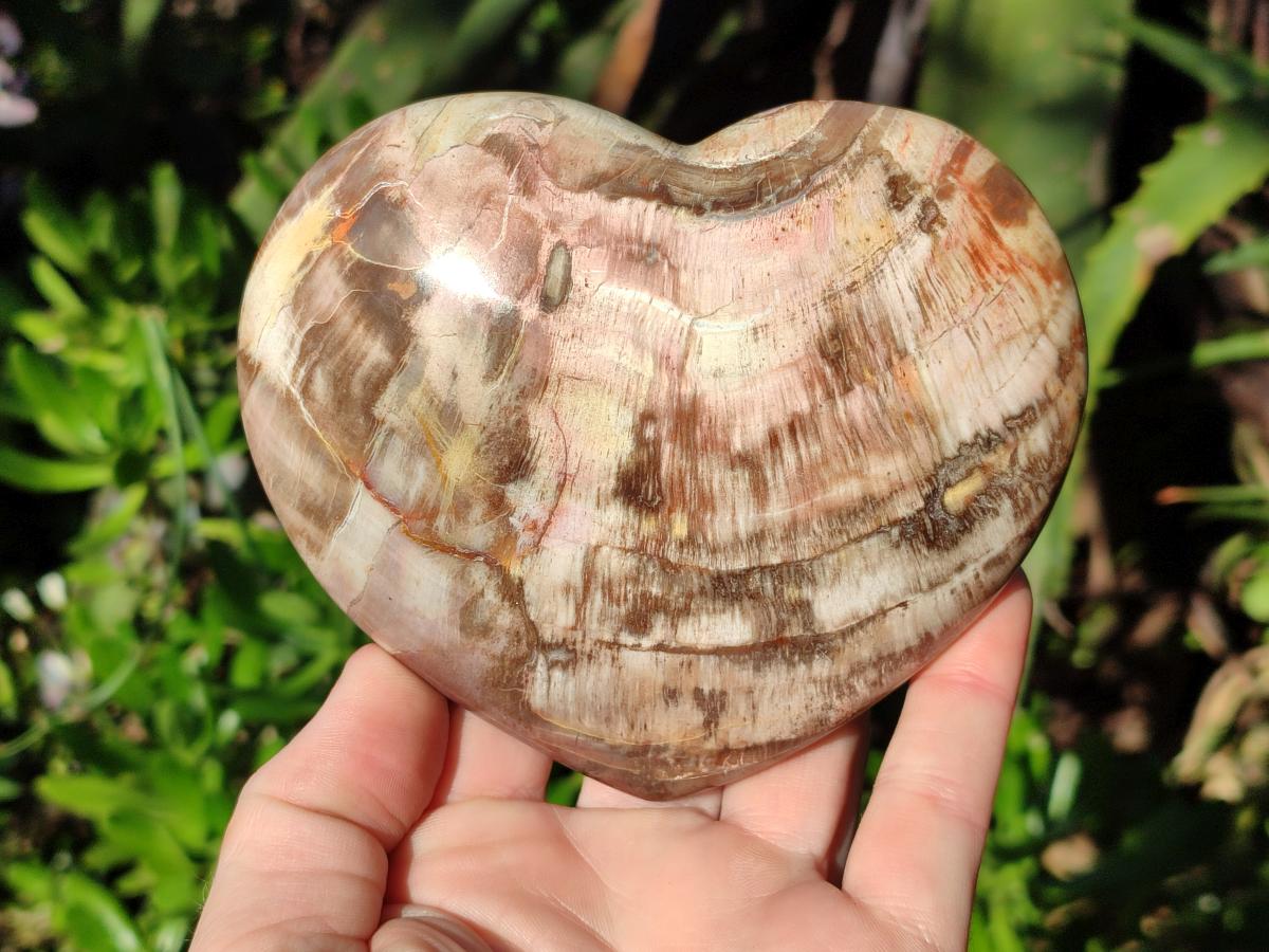 Polished Red Podocarpus Petrified Wood Hearts x 3 From Mahajanga, Madagascar - Toprock Gemstones and Minerals 