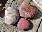 Polished Red Podocarpus Petrified Wood Hearts x 3 From Mahajanga, Madagascar - Toprock Gemstones and Minerals 
