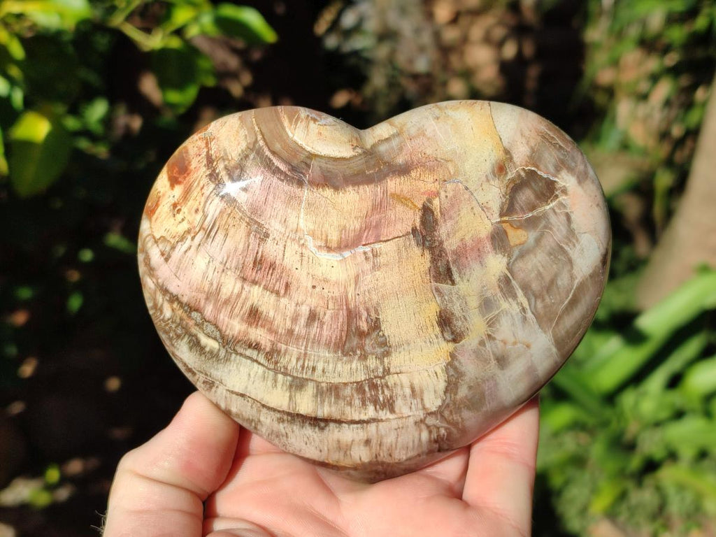 Polished Red Podocarpus Petrified Wood Hearts x 3 From Mahajanga, Madagascar - Toprock Gemstones and Minerals 