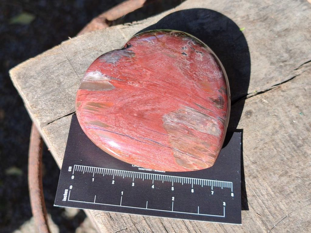 Polished Red Podocarpus Petrified Wood Hearts x 3 From Mahajanga, Madagascar - Toprock Gemstones and Minerals 