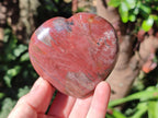 Polished Red Podocarpus Petrified Wood Hearts x 3 From Mahajanga, Madagascar - Toprock Gemstones and Minerals 
