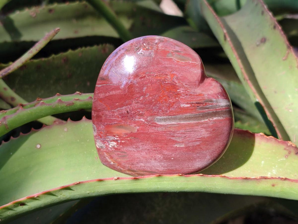 Polished Red Podocarpus Petrified Wood Hearts x 3 From Mahajanga, Madagascar - Toprock Gemstones and Minerals 