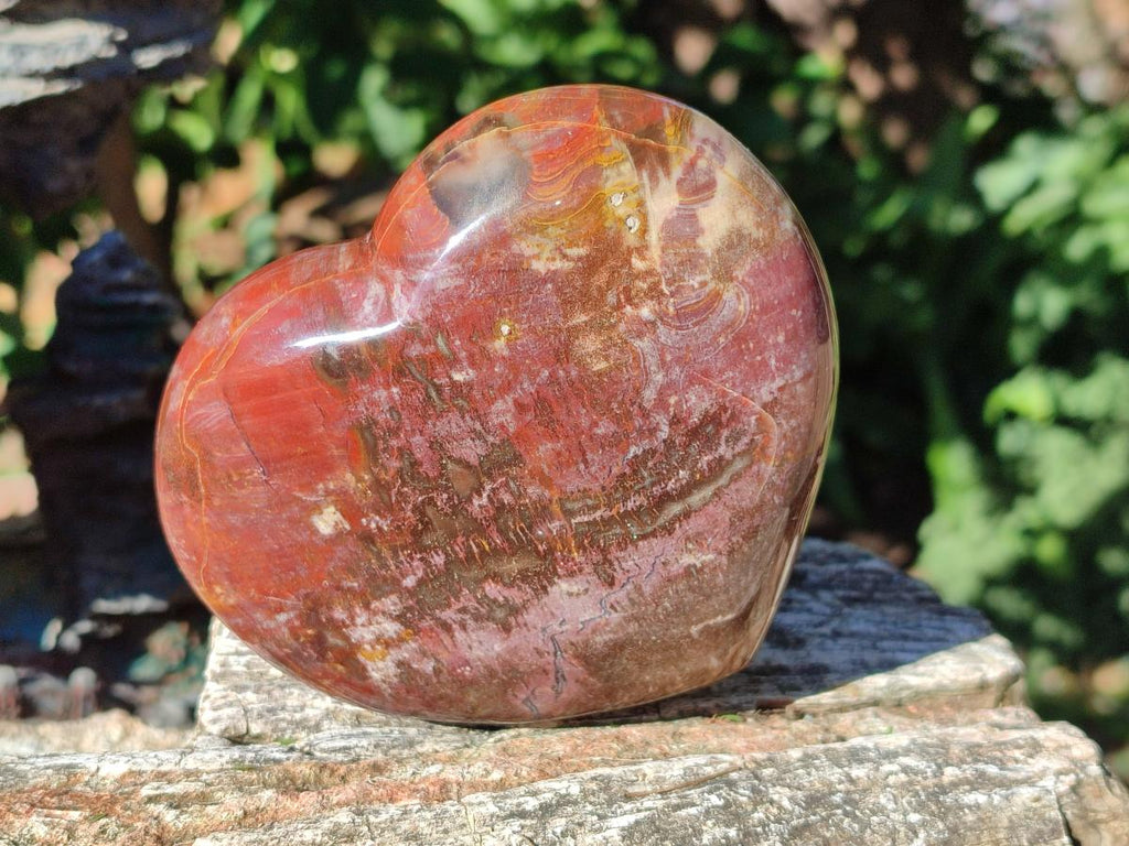 Polished Red Podocarpus Petrified Wood Hearts x 3 From Mahajanga, Madagascar - Toprock Gemstones and Minerals 