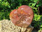 Polished Red Podocarpus Petrified Wood Hearts x 3 From Mahajanga, Madagascar - Toprock Gemstones and Minerals 