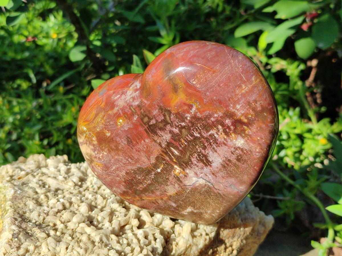 Polished Red Podocarpus Petrified Wood Hearts x 3 From Mahajanga, Madagascar - Toprock Gemstones and Minerals 