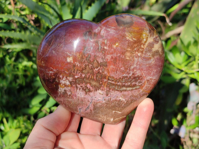 Polished Red Podocarpus Petrified Wood Hearts x 3 From Mahajanga, Madagascar - Toprock Gemstones and Minerals 