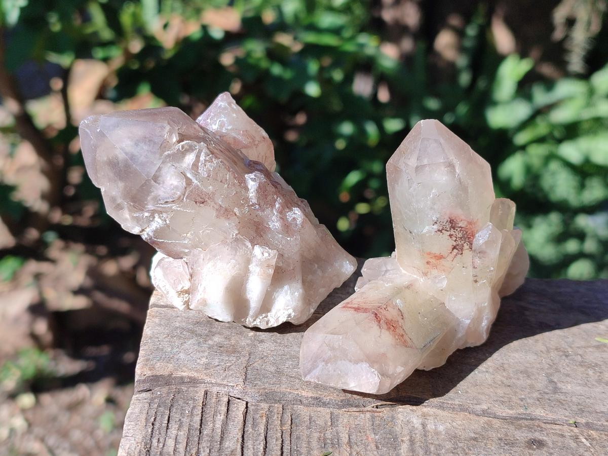Natural Red Hematoid Quartz Crystal Clusters x 12 From Karoi, Zimbabwe - Toprock Gemstones and Minerals 