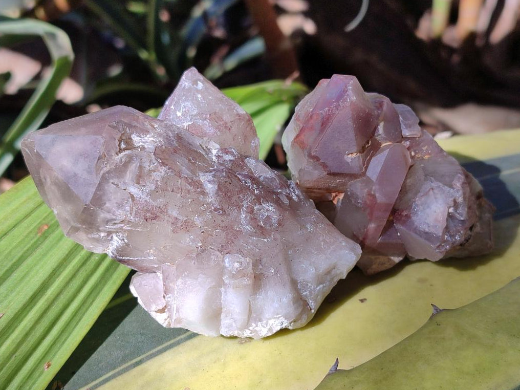 Natural Red Hematoid Quartz Crystal Clusters x 12 From Karoi, Zimbabwe - Toprock Gemstones and Minerals 