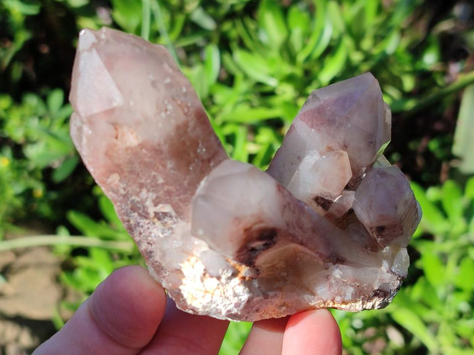 Natural Red Hematoid Quartz Crystal Clusters x 12 From Karoi, Zimbabwe - Toprock Gemstones and Minerals 