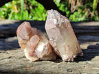 Natural Red Hematoid Quartz Crystal Clusters x 12 From Karoi, Zimbabwe - Toprock Gemstones and Minerals 