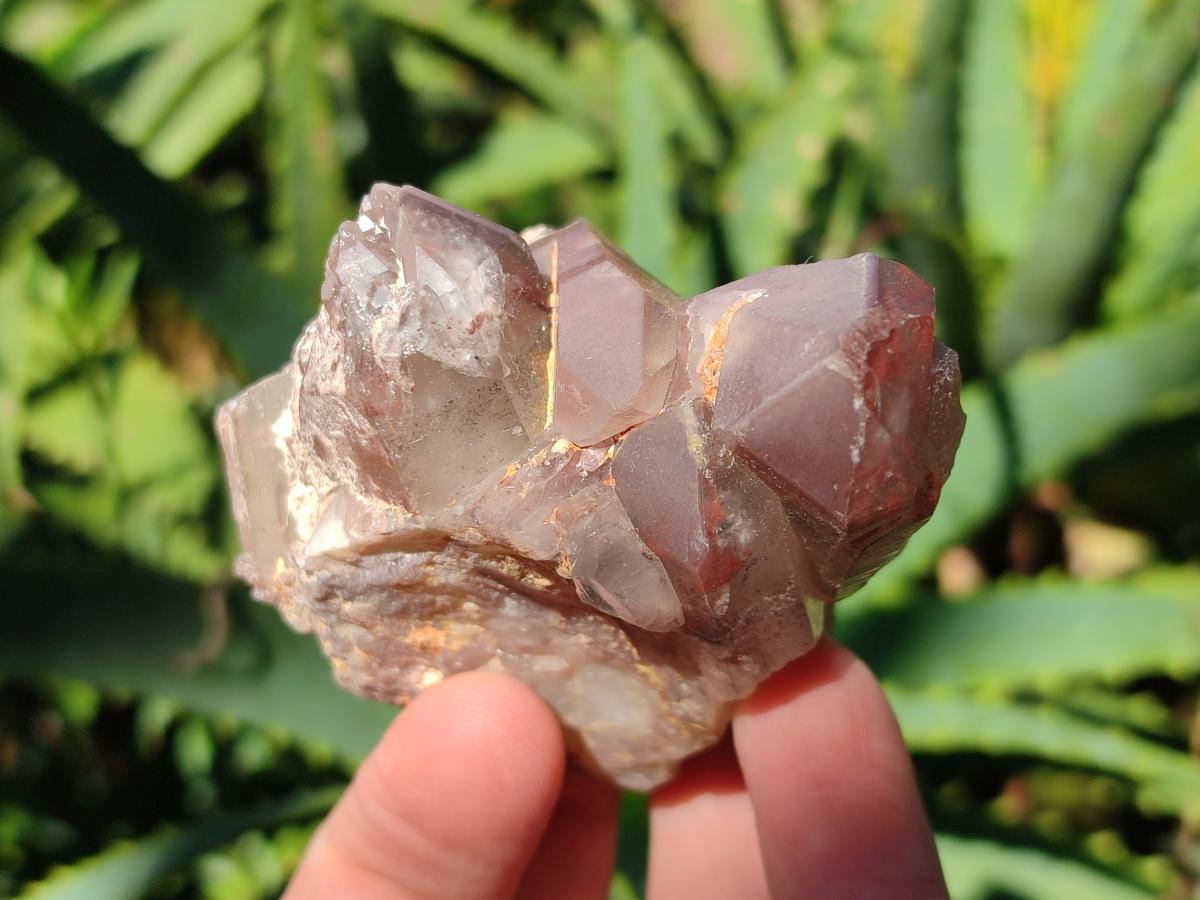 Natural Red Hematoid Quartz Crystal Clusters x 12 From Karoi, Zimbabwe - Toprock Gemstones and Minerals 