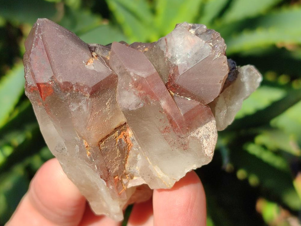 Natural Red Hematoid Quartz Crystal Clusters x 12 From Karoi, Zimbabwe - Toprock Gemstones and Minerals 