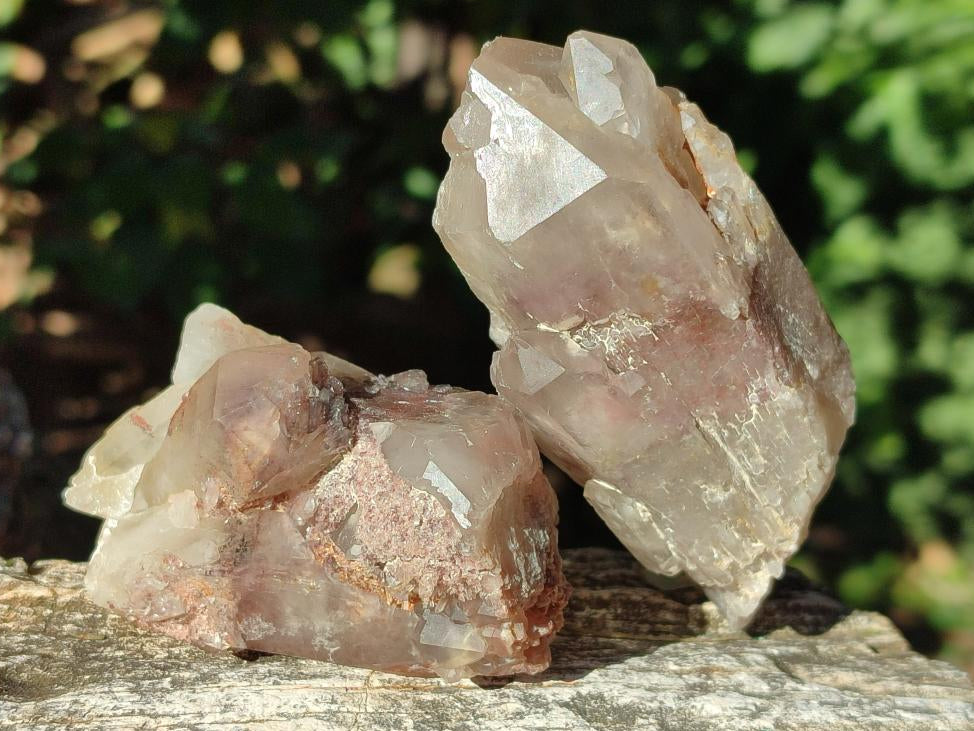 Natural Red Hematoid Quartz Crystal Clusters x 12 From Karoi, Zimbabwe - Toprock Gemstones and Minerals 
