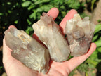 Natural Red Hematoid Quartz Crystal Clusters x 12 From Karoi, Zimbabwe - Toprock Gemstones and Minerals 