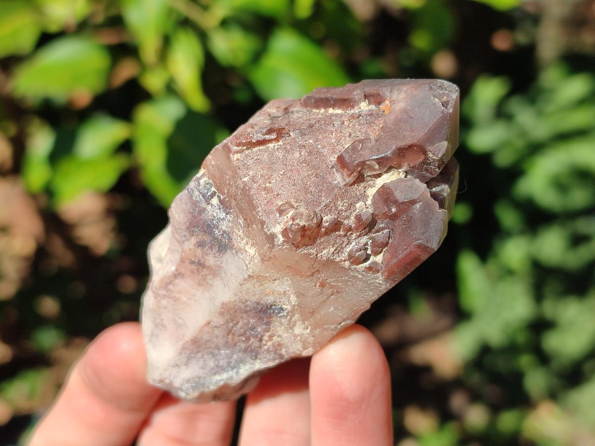 Natural Red Hematoid Quartz Crystal Clusters x 12 From Karoi, Zimbabwe - Toprock Gemstones and Minerals 