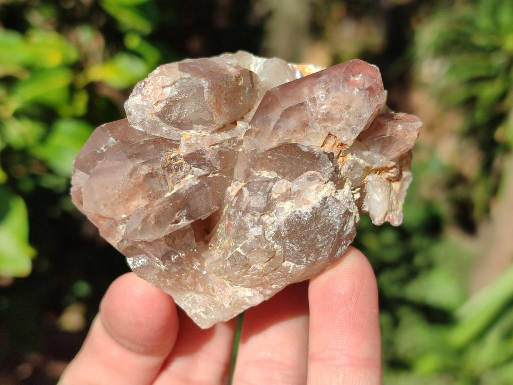 Natural Red Hematoid Quartz Crystal Clusters x 12 From Karoi, Zimbabwe - Toprock Gemstones and Minerals 