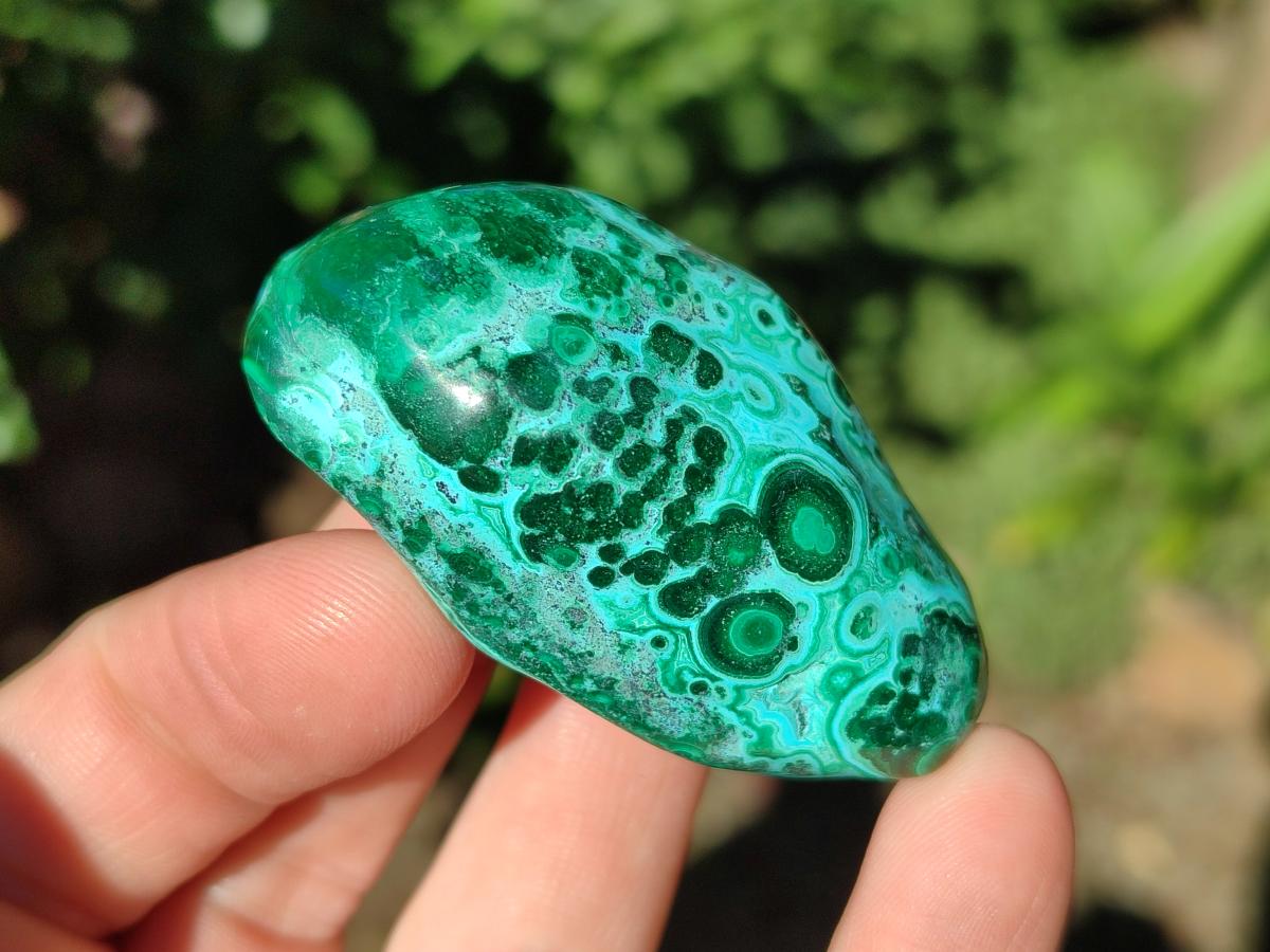 Polished Malacolla Free Forms x 12 From Kulukuluku, Congo - Toprock Gemstones and Minerals 