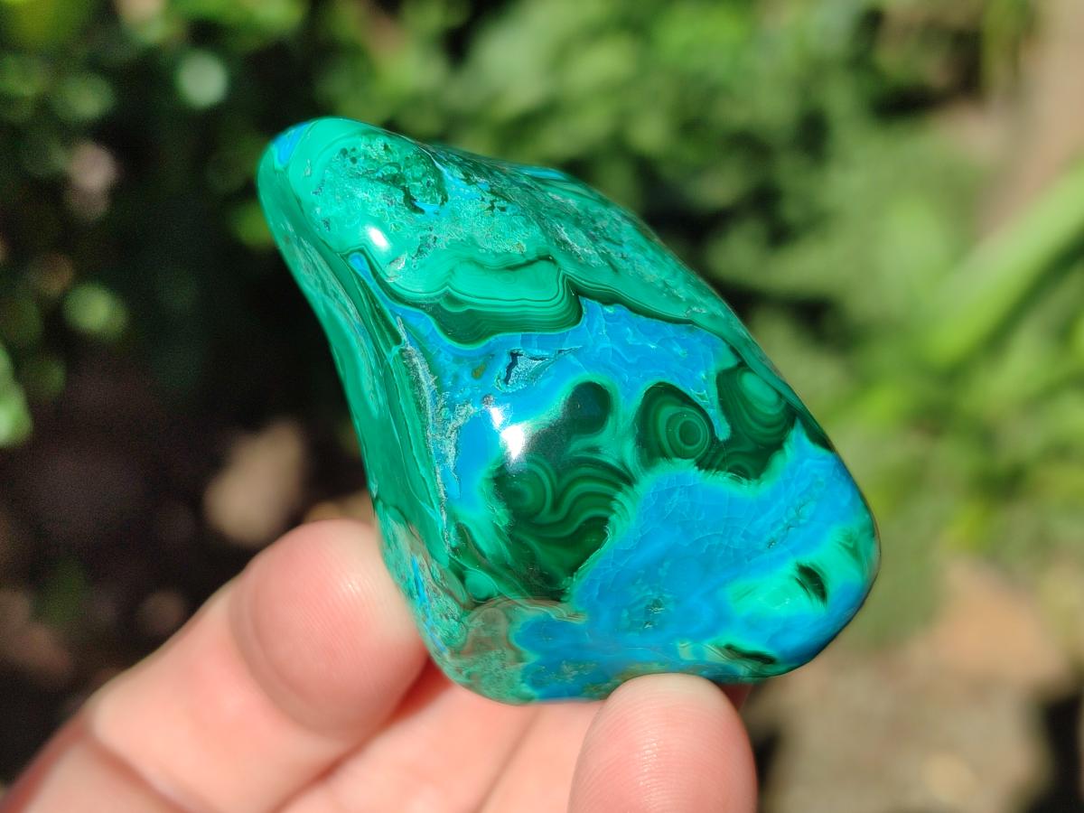 Polished Malacolla Free Forms x 12 From Kulukuluku, Congo - Toprock Gemstones and Minerals 