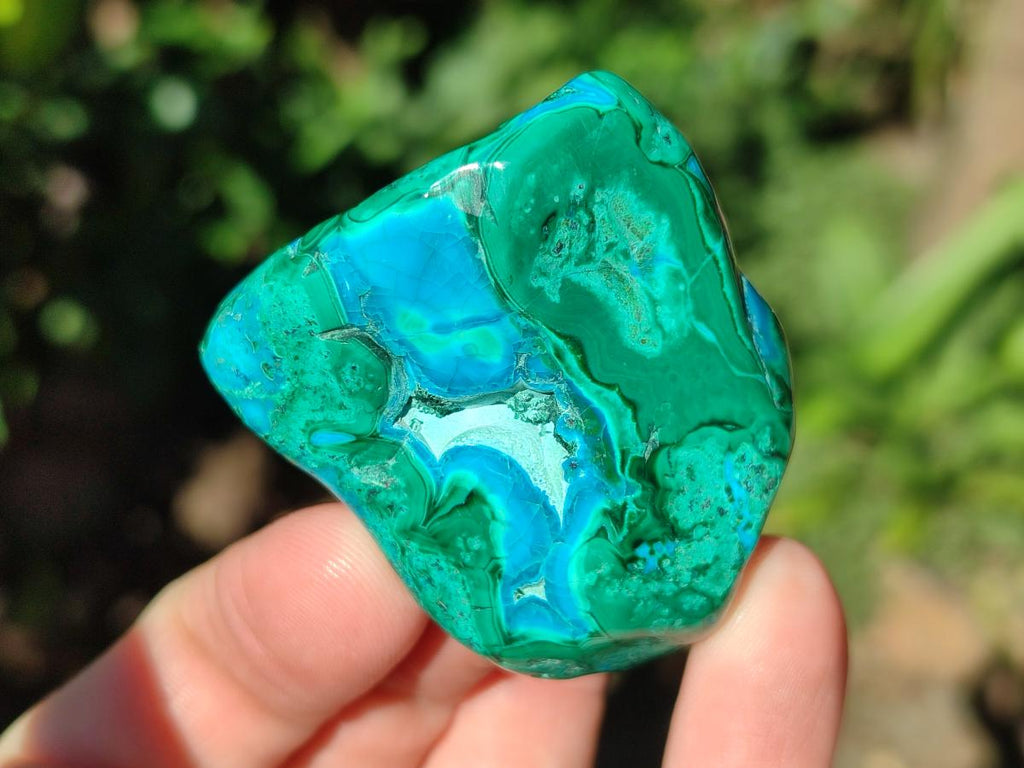 Polished Malacolla Free Forms x 12 From Kulukuluku, Congo - Toprock Gemstones and Minerals 