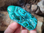 Polished Malacolla Free Forms x 12 From Kulukuluku, Congo - Toprock Gemstones and Minerals 