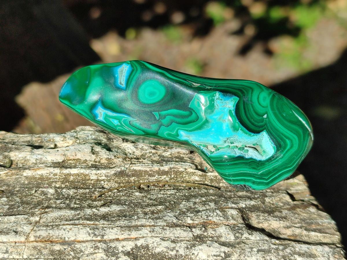 Polished Malacolla Free Forms x 12 From Kulukuluku, Congo - Toprock Gemstones and Minerals 