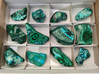 Polished Malacolla Free Forms x 12 From Kulukuluku, Congo - Toprock Gemstones and Minerals 